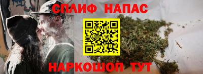крисы Будённовск
