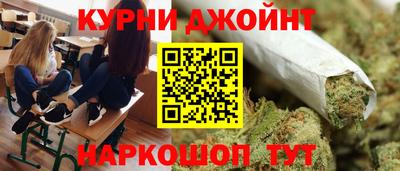 крисы Будённовск