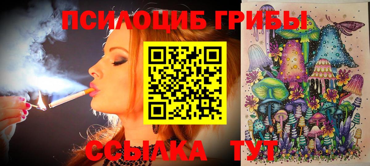Псилоцибиновые грибы Psilocybine cubensis  Вход с VPN  Лесосибирск 